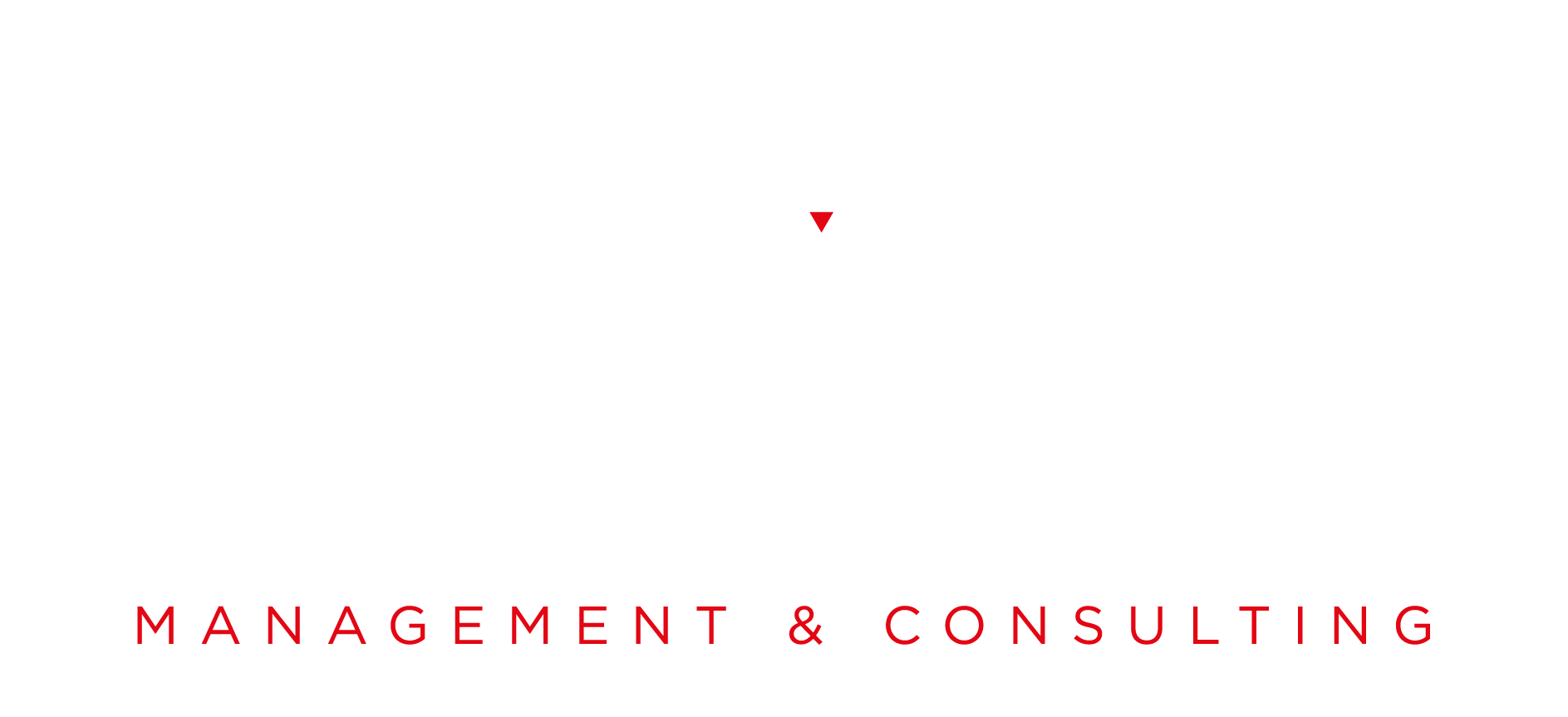 Logo Future Vision srl – bianco verticale