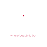 venera 3